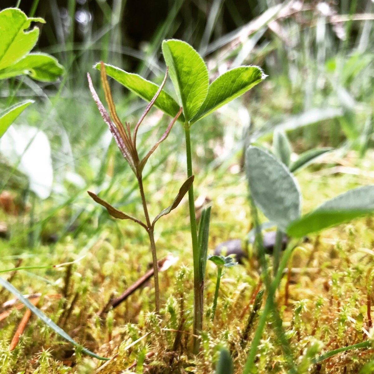 retreat sweden12 - Yoga Retreat